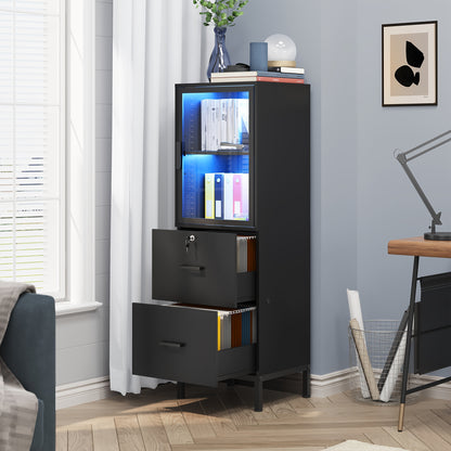 Two Drawer File Cabinet w/ Acrylic Cabinet Door, LED Lights, & Lock - Fits Letter and A4 Files